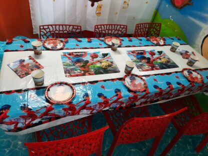 décoration de salle anniversaire sur le thème miraculous