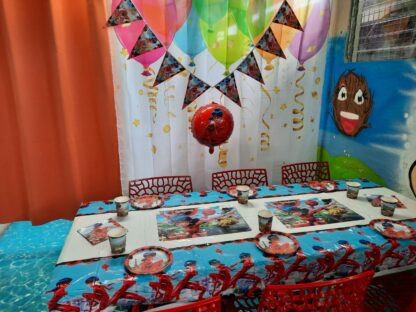 décoration de salle anniversaire sur le thème miraculous