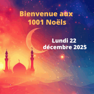 Noël 22/12/2025 : Accompagnant Adulte et + de 12ans