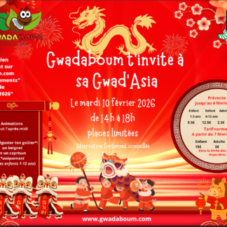 CARNAVAL Mardi 10/02/2026 : Entrée accompagnant ( Adultes et + de 12ans)