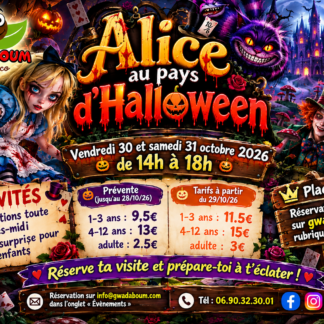 HALLOWEEN Vendredi 30/10/2026 : Entrée accompagnant ( Adultes et + de 12ans)